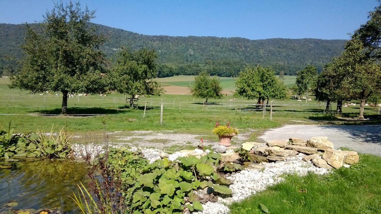 Apartement-Gite Rural A 3 Km De Delemont Courcelon Экстерьер фото